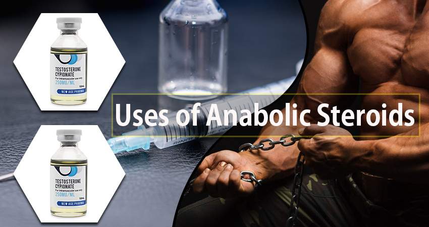 Bodybuilder-Massive-Gains | New Age Pharma Steroids Lab | Online Canadian steroids | Steroids Canada | Buy steroids in canada | Canadian steroids | Newage Pharma steroids